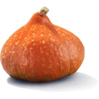 AH Biologisch oranje pompoen