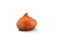 AH Biologisch Pompoen