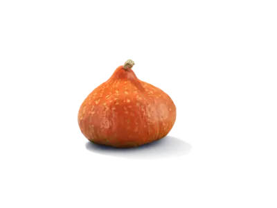pdp-image-AH Biologisch Pompoen