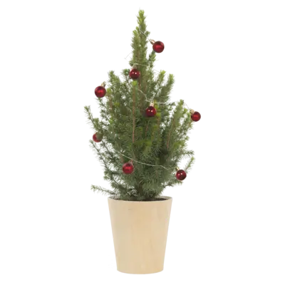 pdp-image-AH Kerstboom p15 kerstballen rood