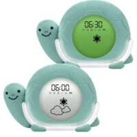 Een afbeelding van Luvion Schildpad Slaaptrainer