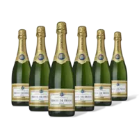 Diane de Frion Champange brut 6 flessen