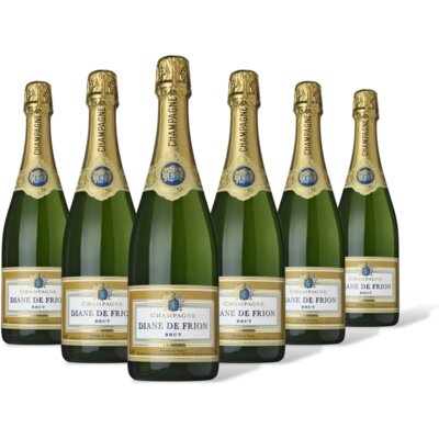 pdp-image-Diane de Frion Champange brut 6 flessen