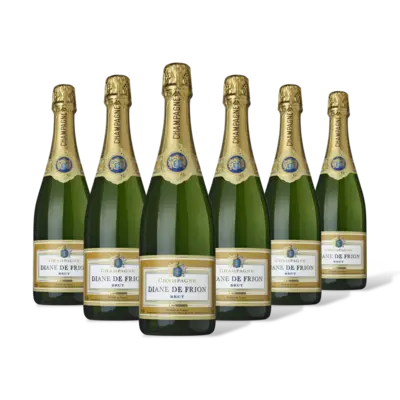 pdp-image-Diane de Frion Champange brut 6 flessen