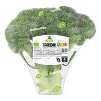 AH Biologisch Broccoli
