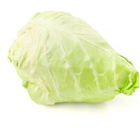 Een afbeelding van AH Spitskool