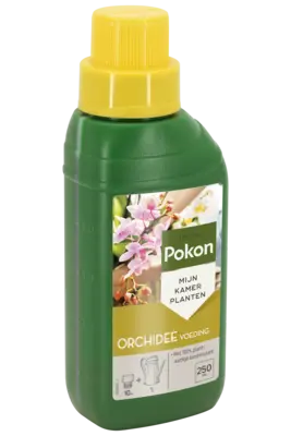 pdp-image-Pokon Orchidee