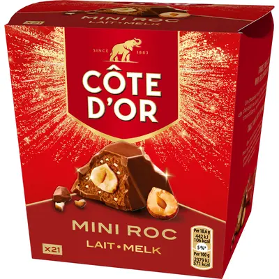 pdp-image-Côte d'Or Mini roc melk