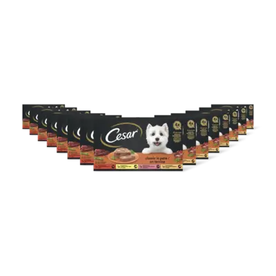 pdp-image-Cesar Classic in patÃ© 15-pack