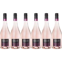 Een afbeelding van Galileo Galilei Hugo rosé 6 flessen