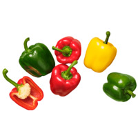 Productfoto van undefined