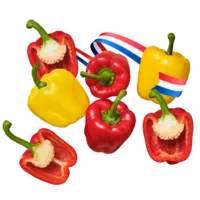 Productfoto van undefined