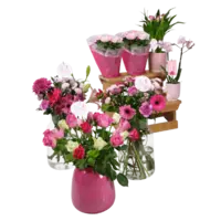 Productfoto van undefined