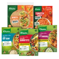 Alle Knorr wereldgerechten, wraps en pasta's