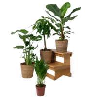 Productfoto van undefined
