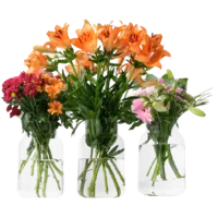 Productfoto van undefined