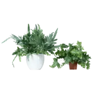 Productfoto van undefined