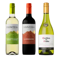 Frontera of Concha y Toro