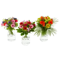 Productfoto van undefined