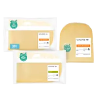 AH Goudse kaas in plakken en stukken van de versafdeling