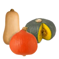 Productfoto van undefined