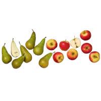 Productfoto van undefined