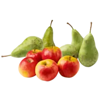 Productfoto van undefined