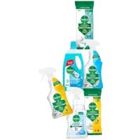 Een afbeelding van Dettol