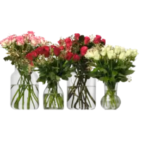 Productfoto van undefined