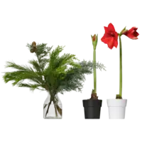 Productfoto van undefined