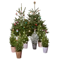 Productfoto van undefined