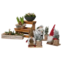 Productfoto van undefined