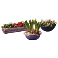 Productfoto van undefined