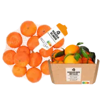 Productfoto van undefined