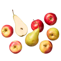 Productfoto van undefined