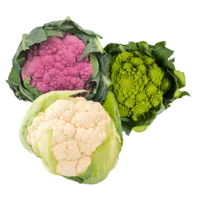 Productfoto van undefined