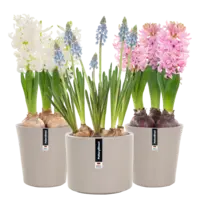 Productfoto van undefined