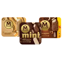 Alle Magnum ijs