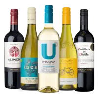 Alle Chileense wijnen*