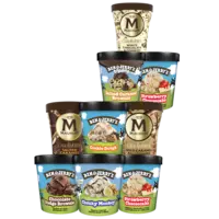 Ben & Jerry's en Magnum ijspints