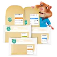 Alle AH Goudse kaas 48+ van de versafdeling