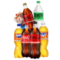 Alle Coca-Cola, Fanta en Sprite literflessen