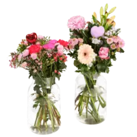 Productfoto van undefined