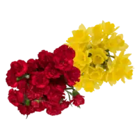 Productfoto van undefined