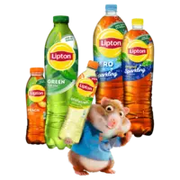 Alle Lipton Ice Tea 0.5-1.5 literflessen*