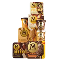 Alle Magnum ijs