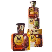 Alle Magnum ijs