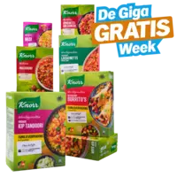 Alle Knorr Wereldgerechten en maaltijdmixen