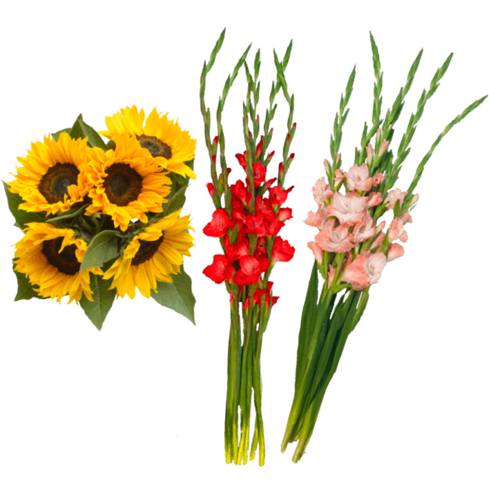 AH Zonnebloemen of gladiolen