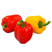 AH Paprika rood